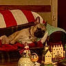 blanket, brown_dog, christmas, couch, cozy, decorations, dog, furniture, holiday_decor, home, indoor, living_room, miniature_houses, pet, pillow, red_stripes, relaxed, resting, snowman_figurine, white_stripes