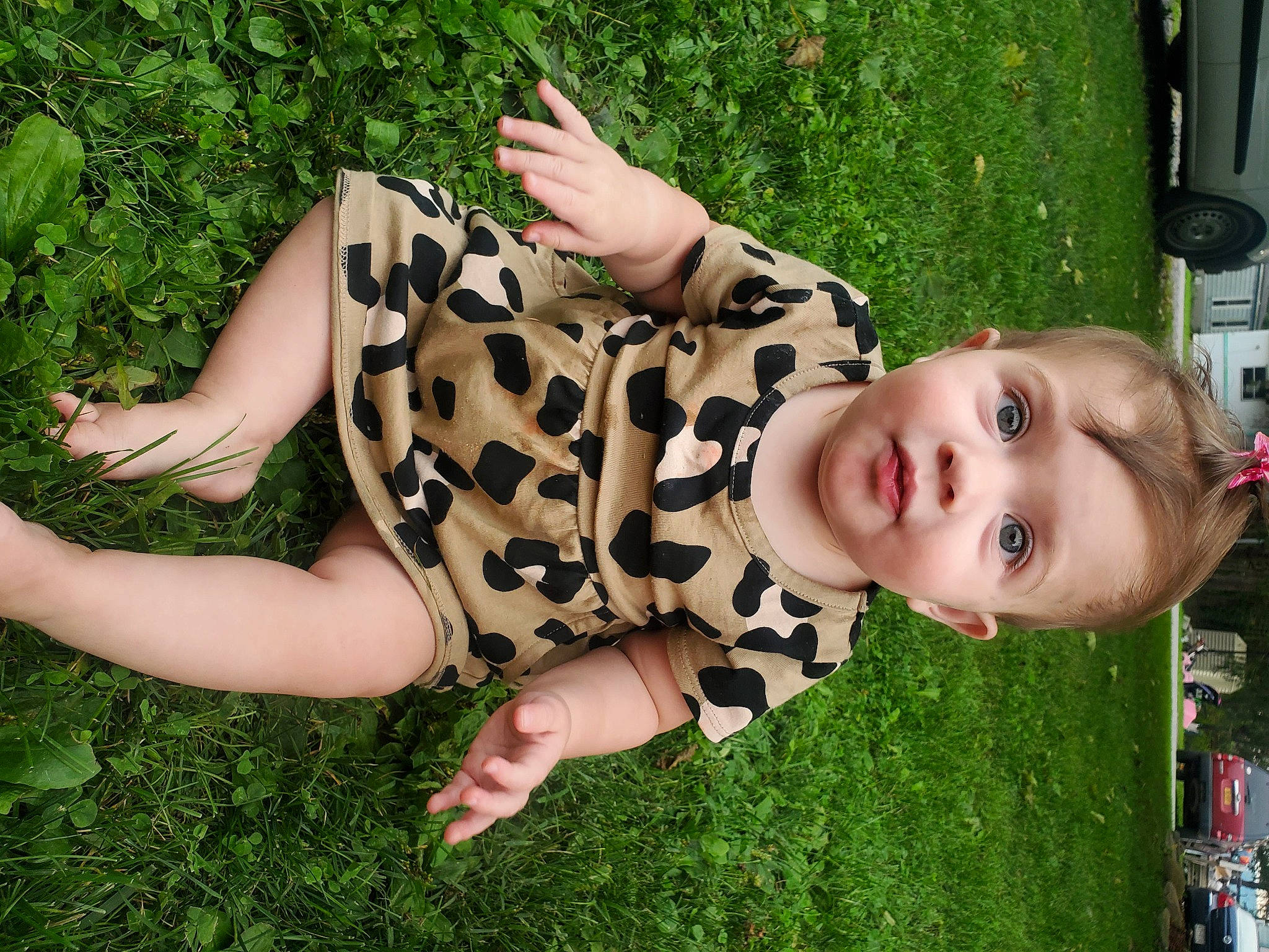Lexi joined the competition — help win amazing prizes! fawn, finger, fun, grass, grass_family, happy, human_leg, knee, lawn, leg, leisure, pattern, people_in_nature, person, plant, sitting, thigh, toddler, tree, vertebrate