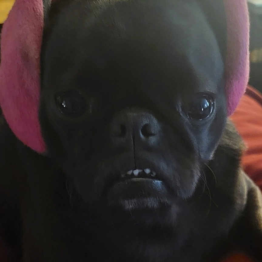 Rosie Mae