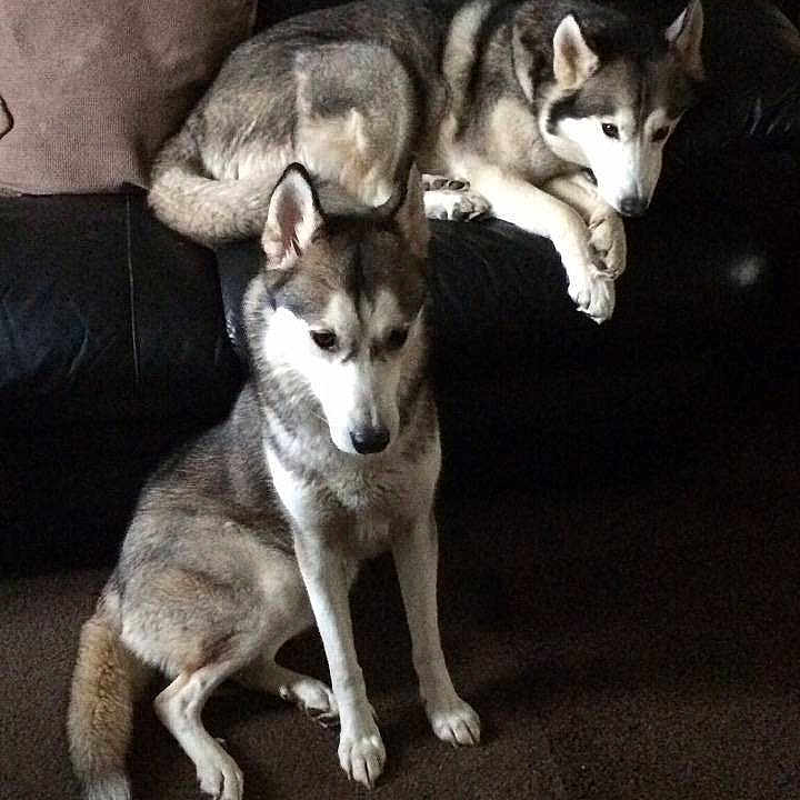 Tia And Chillie is registered to the contest to win money with this photo: