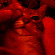 Lola participe au concours pour gagner de l'argent avec cette photo :