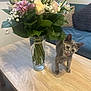 kitten, cat, flower_bouquet, glass_vase, wooden_table, indoor, curious, pet, green_leaves, pink_flowers, yellow_flowers, white_flowers, sofa, cushion, home, domestic, small_animal, playful, cute, tongue_out