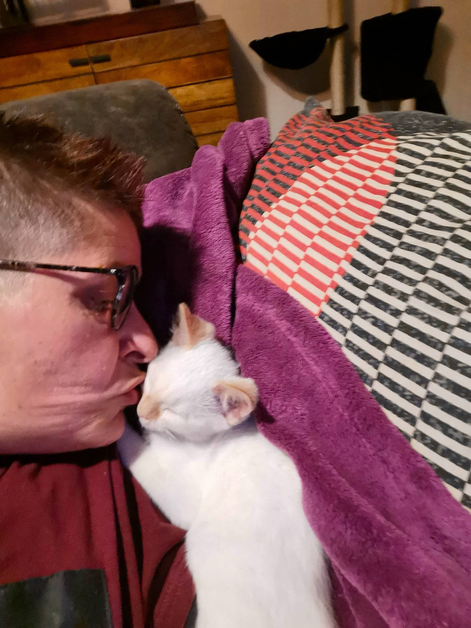 Rafy a rejoint le concours — aidez-le/la à gagner de superbes lots ! carnivore, cat, felidae, fur, small_to_medium_sized_cats, textile, whiskers