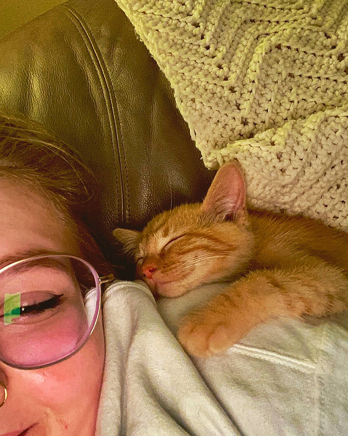 Astre is registered to the contest to win money with this photo: carnivore, cat, comfort, domestic_short_haired_cat, ear, eyelash, eyewear, fawn, felidae, glasses, grass, happy, lap, linens, skin, small_to_medium_sized_cats, snout, tail, vision_care, whiskers