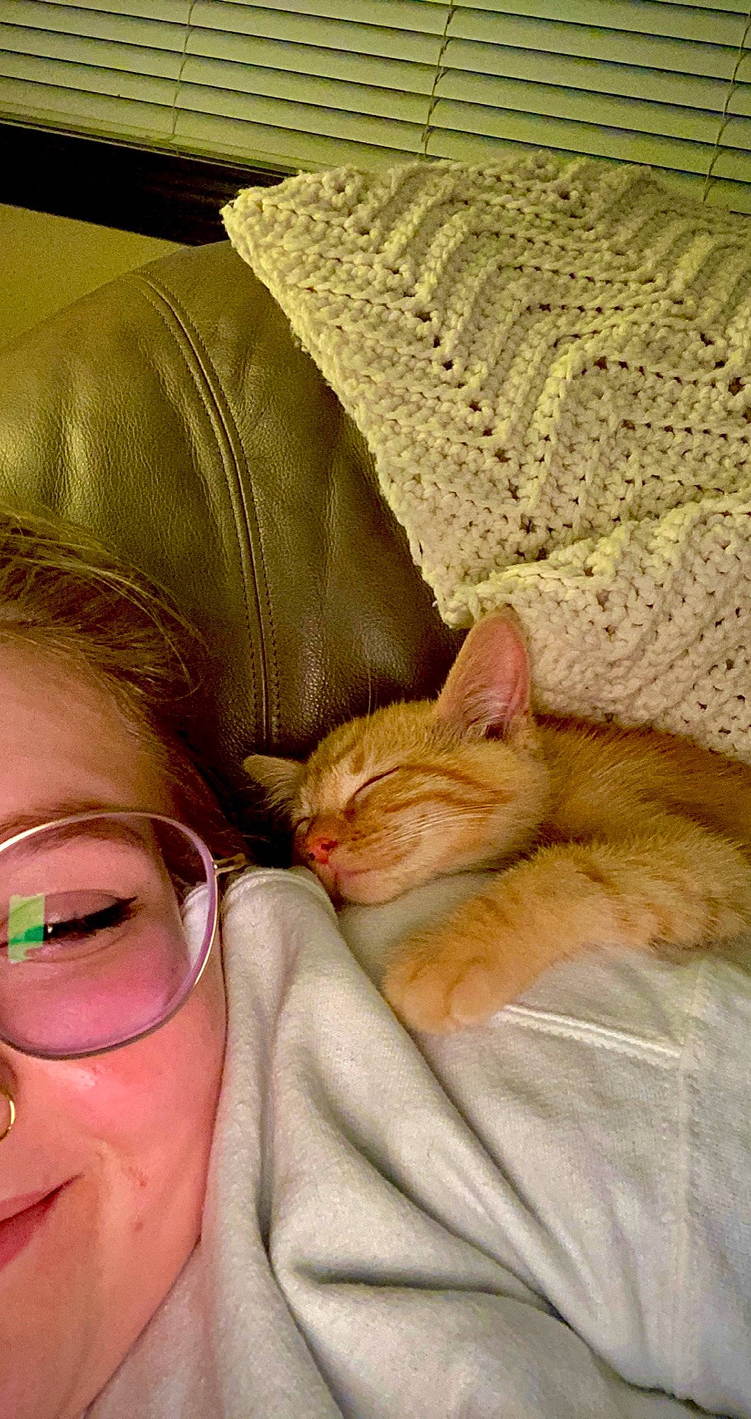 Astre joined the competition — help win amazing prizes! carnivore, cat, comfort, domestic_short_haired_cat, ear, eyelash, eyewear, fawn, felidae, fur, gesture, glasses, happy, lap, skin, small_to_medium_sized_cats, smile, snout, vision_care, whiskers