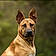 Pixel