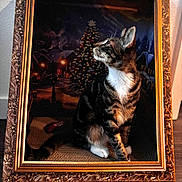 Pluto joined the competition — help win amazing prizes! cat, tabby, ornate_frame, christmas_tree, holiday, indoor, decor, pet, animal, feline, wood_floor, gazing, portrait, festive, lighting, background, cozy, artistic, sitting, white_paws