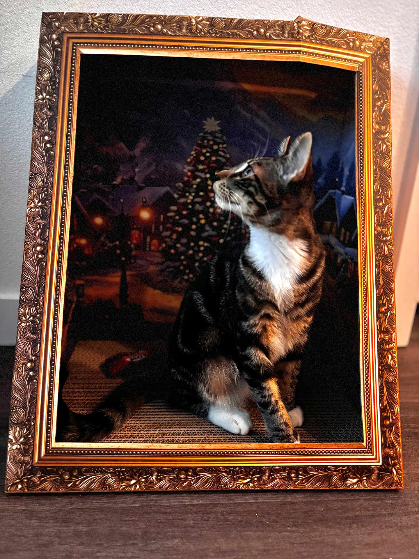 Pluto joined the competition — help win amazing prizes! cat, tabby, ornate_frame, christmas_tree, holiday, indoor, decor, pet, animal, feline, wood_floor, gazing, portrait, festive, lighting, background, cozy, artistic, sitting, white_paws