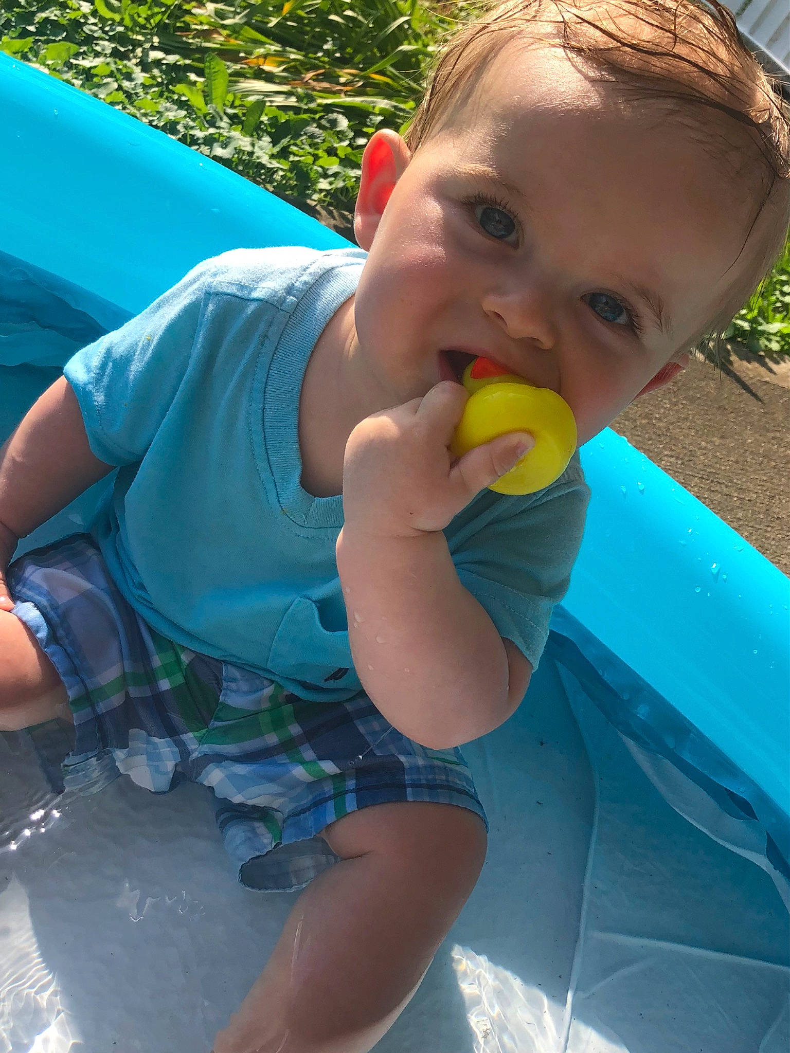 Brayden joined the competition — help win amazing prizes! arm, baby, baby_playing_with_toys, baby_products, baby_toddler_clothing, blue, child, electric_blue, fun, grass, green, hand, happy, leisure, person, play, recreation, shorts, sitting, skin