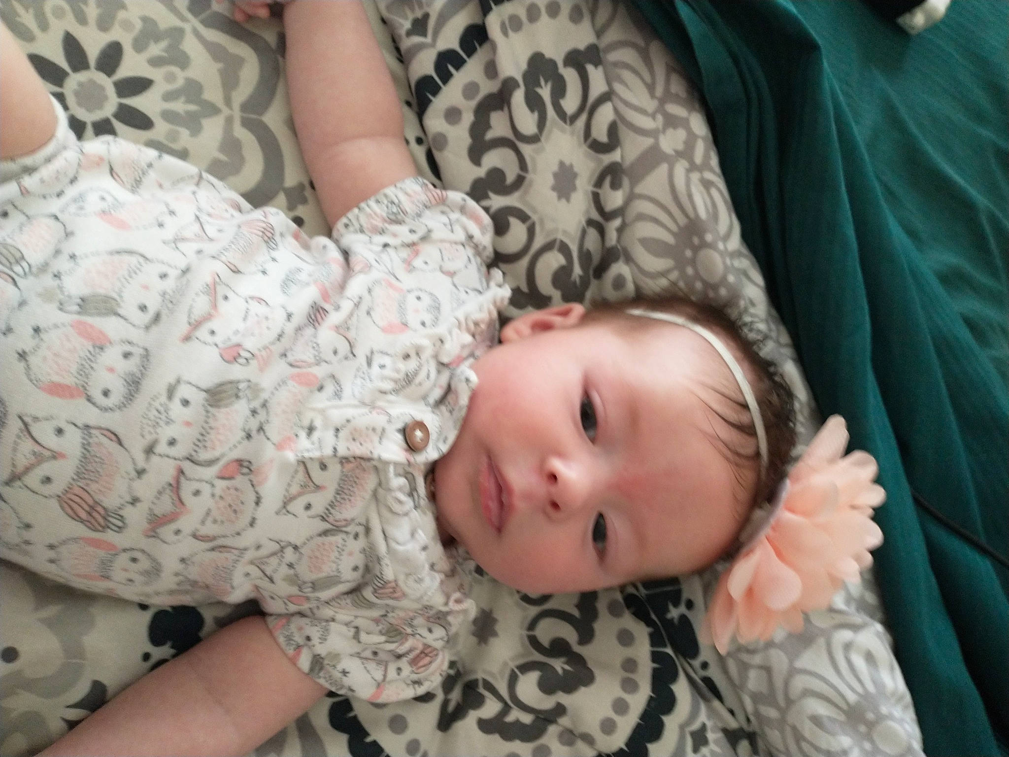 Evangeline is registered to the contest to win money with this photo: baby, baby_toddler_clothing, blond, cheek, child, comfort, eye, grass, human_body, iris, joint, pattern, person, product, sitting, skin, sleeve, textile, toddler, tree