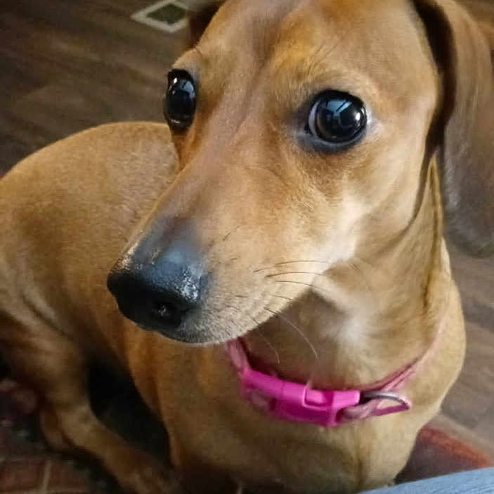 Lil Girl