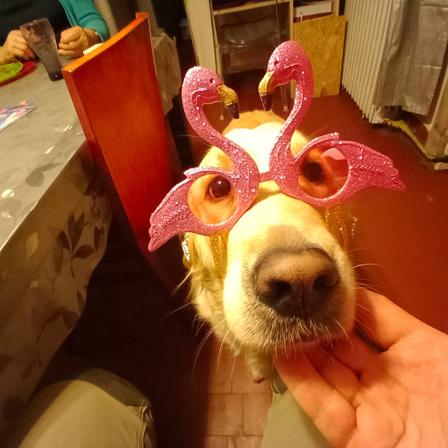 Poupsy