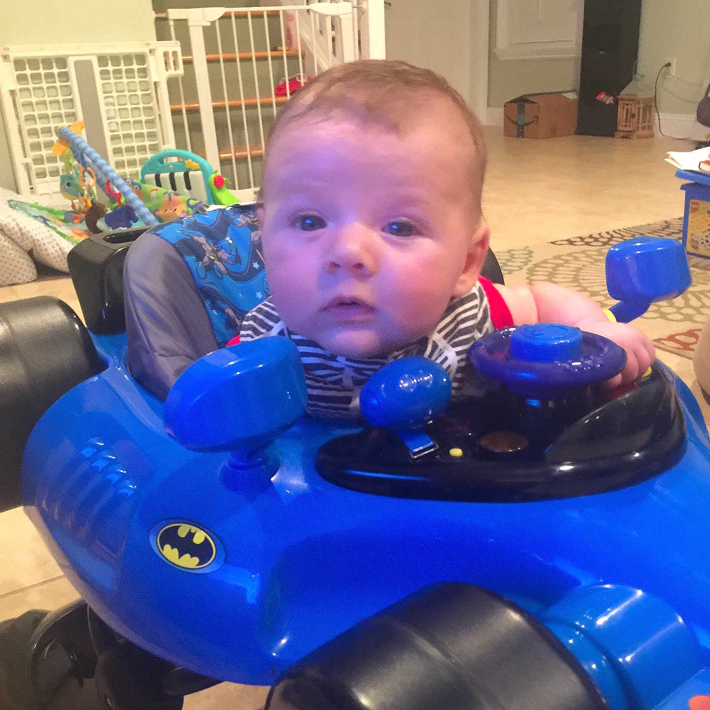 Maddox