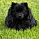 Rockybear