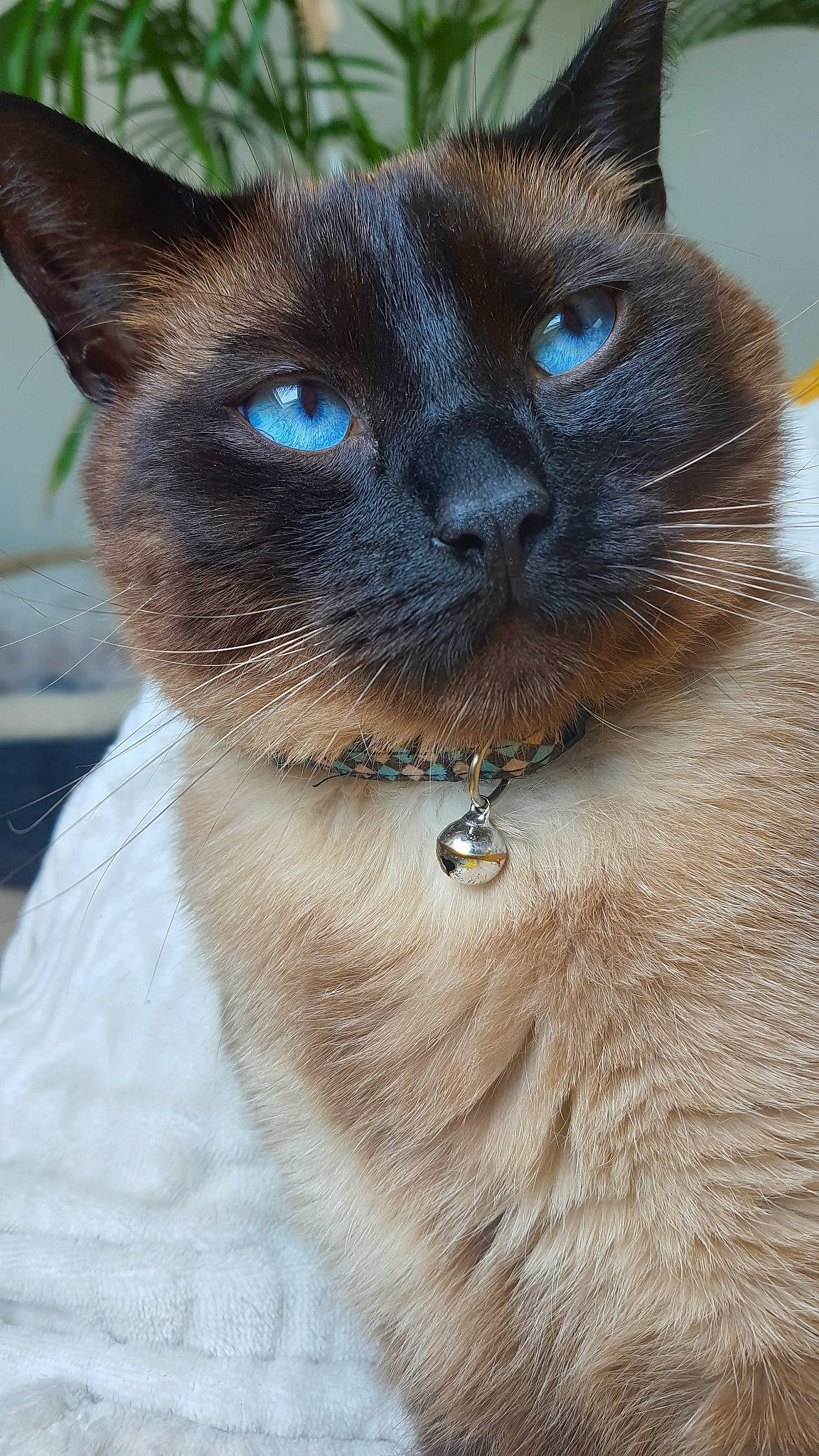 Charly