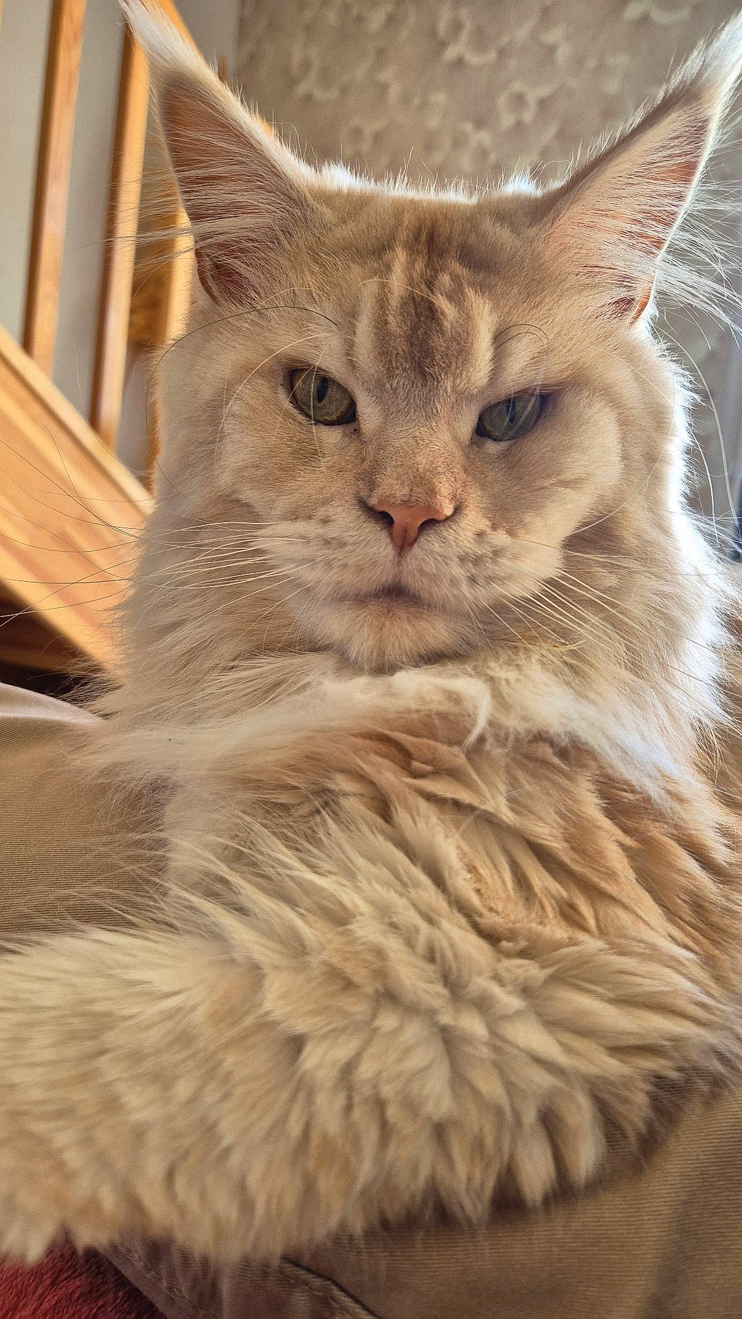 Pablo