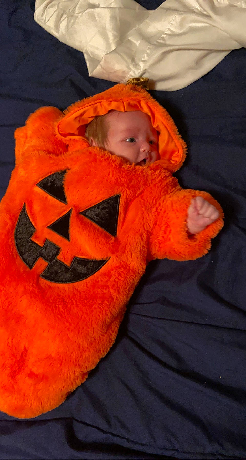 Kiara joined the competition — help win amazing prizes! art, baby, baby_toddler_clothing, calabaza, carmine, child, comfort, cucurbita, event, eye, fur, gourd, linens, orange, peach, person, pumpkin, sleeve, toddler, vegetable