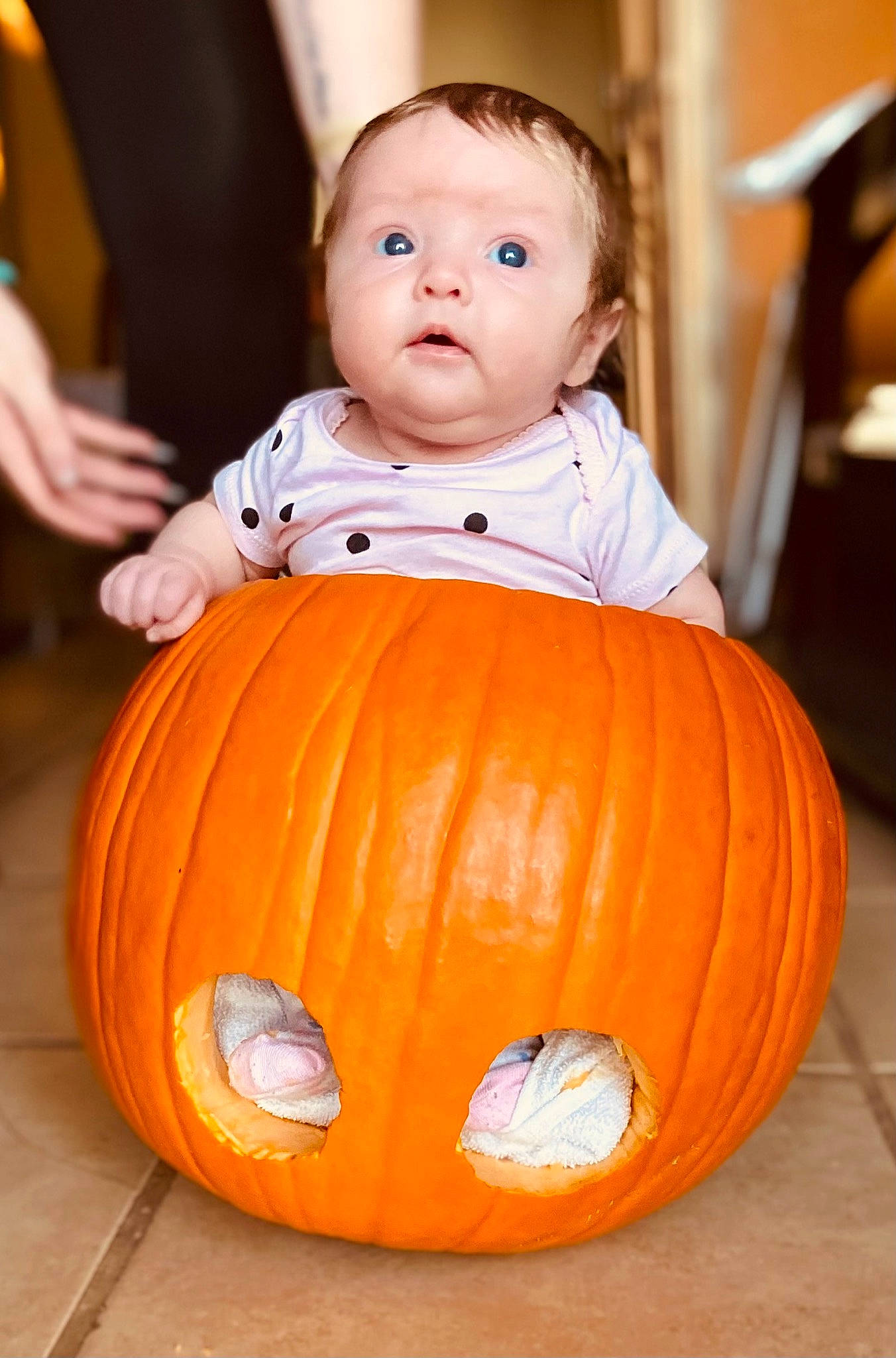 Kiara is registered to the contest to win money with this photo: black, calabaza, cheek, creative_arts, cucurbita, eye, facial_expression, gourd, head, jack_o_lantern, mouth, natural_foods, orange, organ, person, plant, pumpkin, squash, surprise, toddler