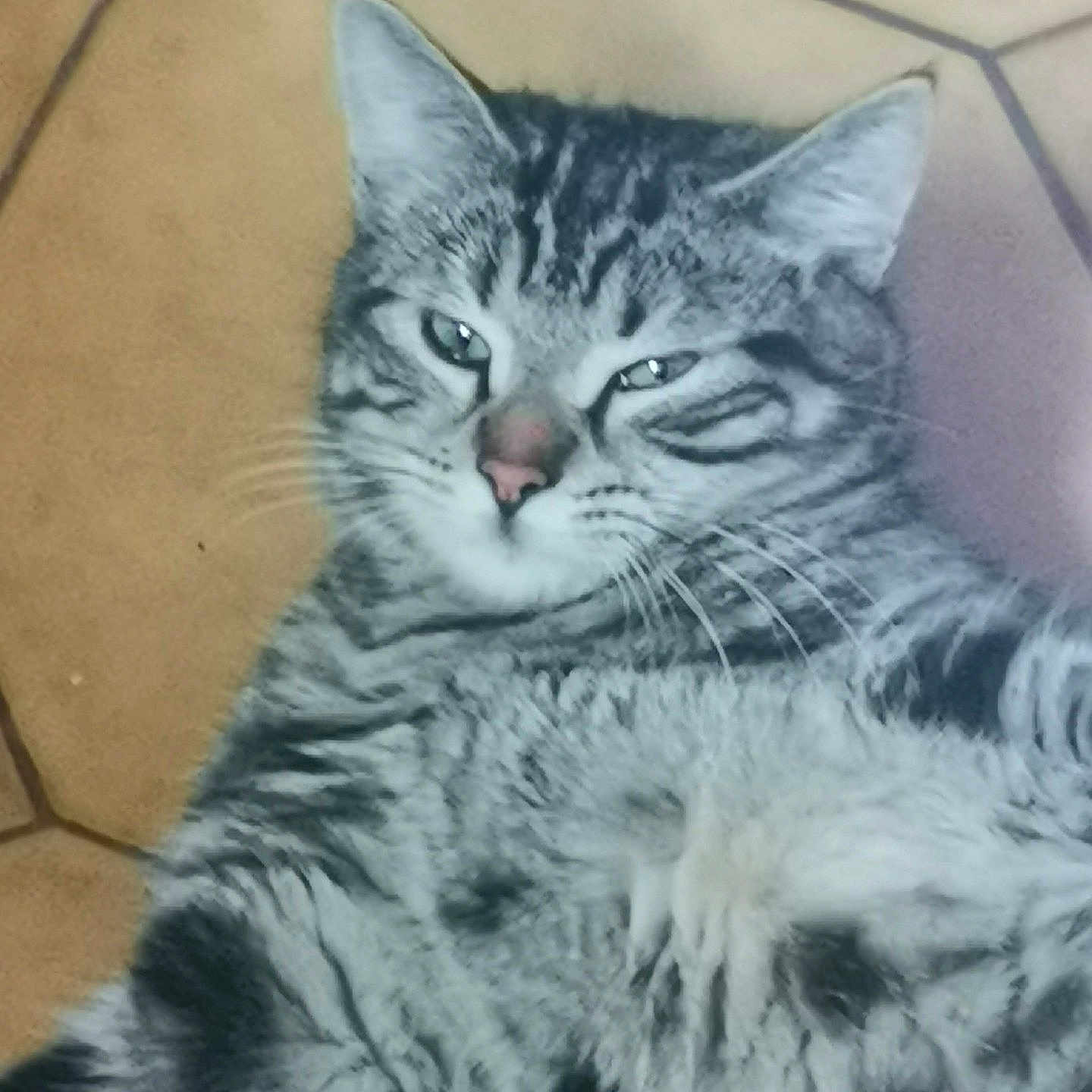 Luna