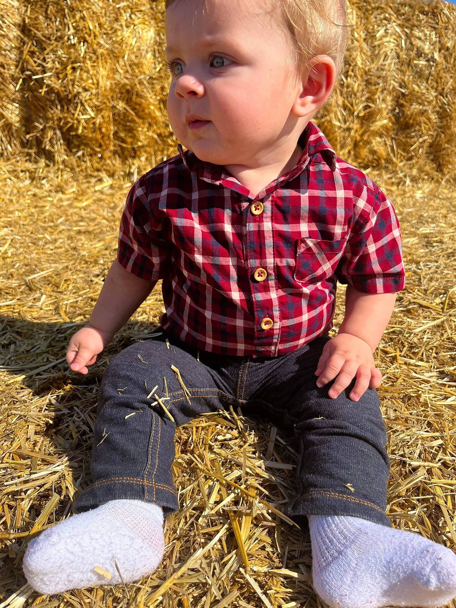 Karter is registered to the contest to win money with this photo: adaptation, agriculture, baby, baby_toddler_clothing, blond, child, grass, grass_family, hairstyle, leaf, people_in_nature, person, photograph, plaid, plant, sleeve, summer, sunlight, tartan, toddler