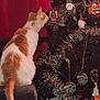 Chai joined the competition — help win amazing prizes! cat, christmas_tree, ornaments, orange_and_white_cat, curious, furniture, indoor, holiday, decorations, tree_branches, red_curtain, pet, domestic_animal, festive, animal, close_up, holiday_season, christmas, tree_lights, home