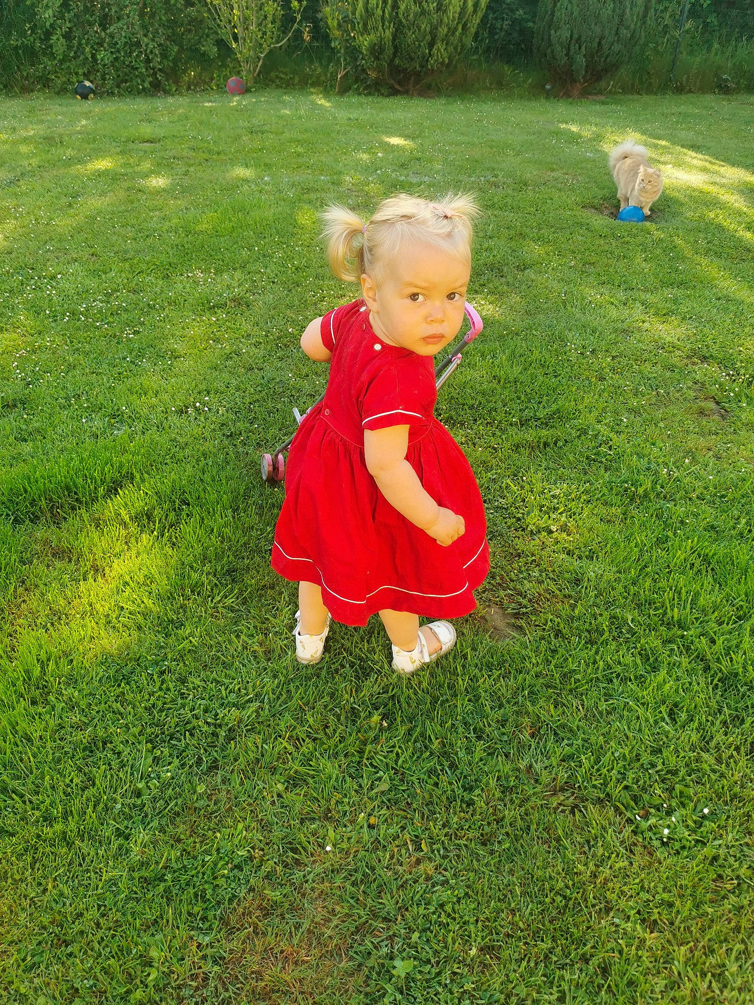 Alba a rejoint le concours — aidez-le/la à gagner de superbes lots ! baby, baby_toddler_clothing, child, flooring, garden, grass, grass_family, grassland, groundcover, happy, landscaping, lawn, lawn_ornament, meadow, people_in_nature, person, plant, recreation, shrub, terrestrial_plant