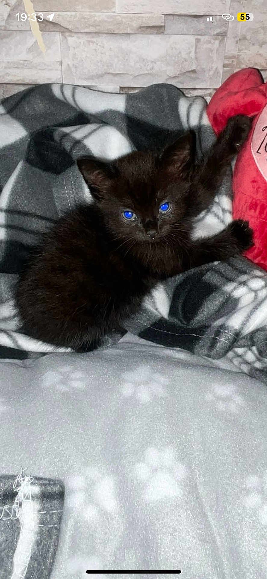 Cosmo