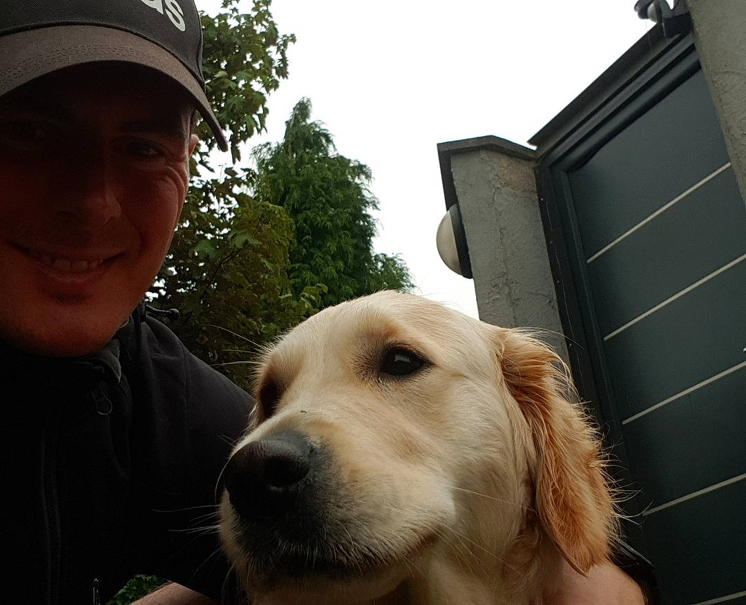 Paloma a rejoint le concours — aidez-le/la à gagner de superbes lots ! baseball_cap, canidae, cap, carnivore, companion_dog, dog, dog_breed, ear, eye, fawn, happy, nose, retriever, selfie, sky, smile, snout, sporting_group, tree, whiskers