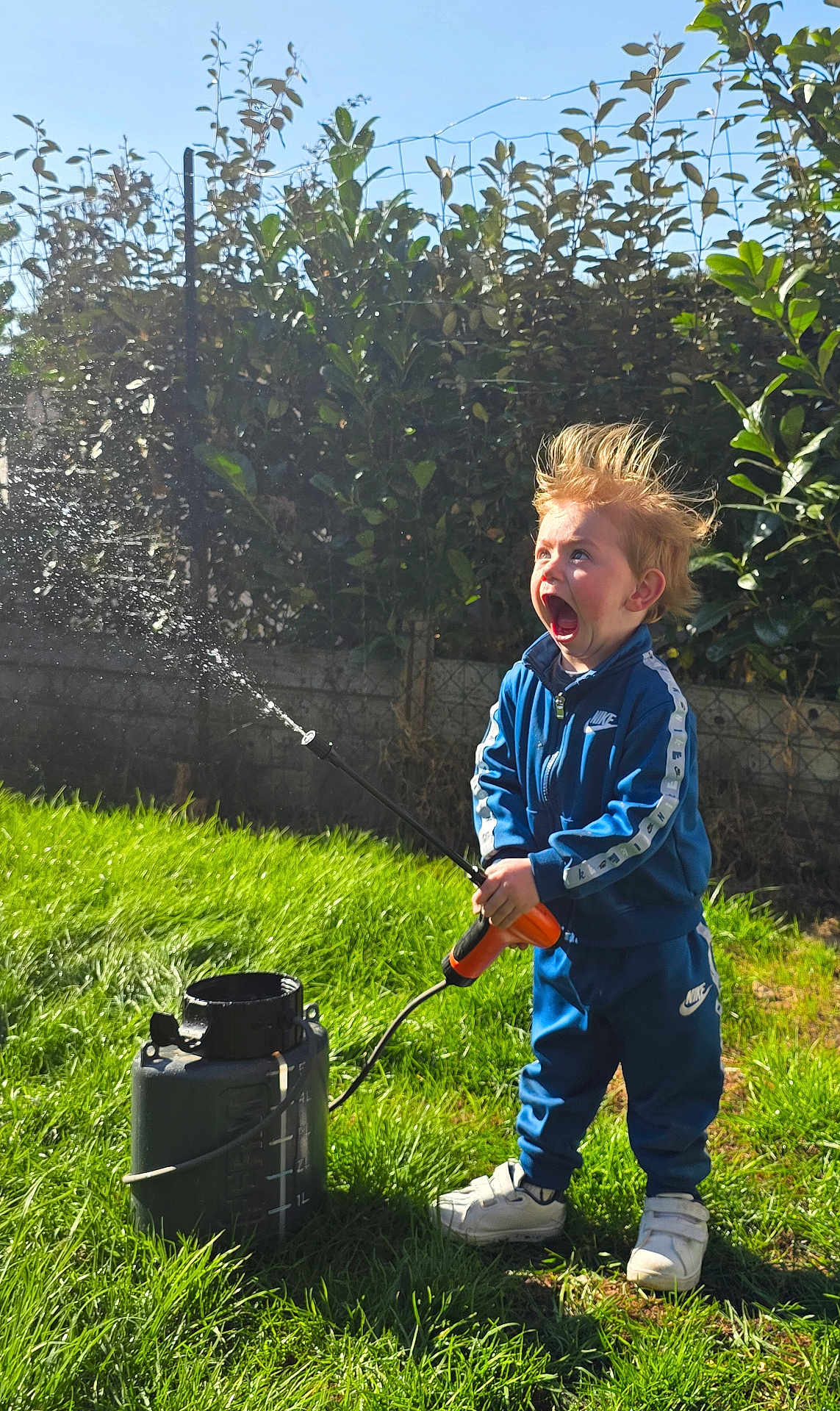 Noam Sohier a rejoint le concours — aidez-le/la à gagner de superbes lots ! blue_tracksuit, child, daylight, expression, fun, garden, grass, greenery, hair, hedge, nature, outdoor, person, play, sprayer, sunny, surprise, toy, water, white_shoes