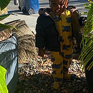 Hassan is registered to the contest to win money with this photo: child, toddler, outdoor, yellow_pajamas, jacket, rocks, leaves, shadow, plants, tree_stump, trash_bin, pavement, sunlight, face, feet, standing, person, nature, daylight, casual_clothing