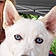 Louna