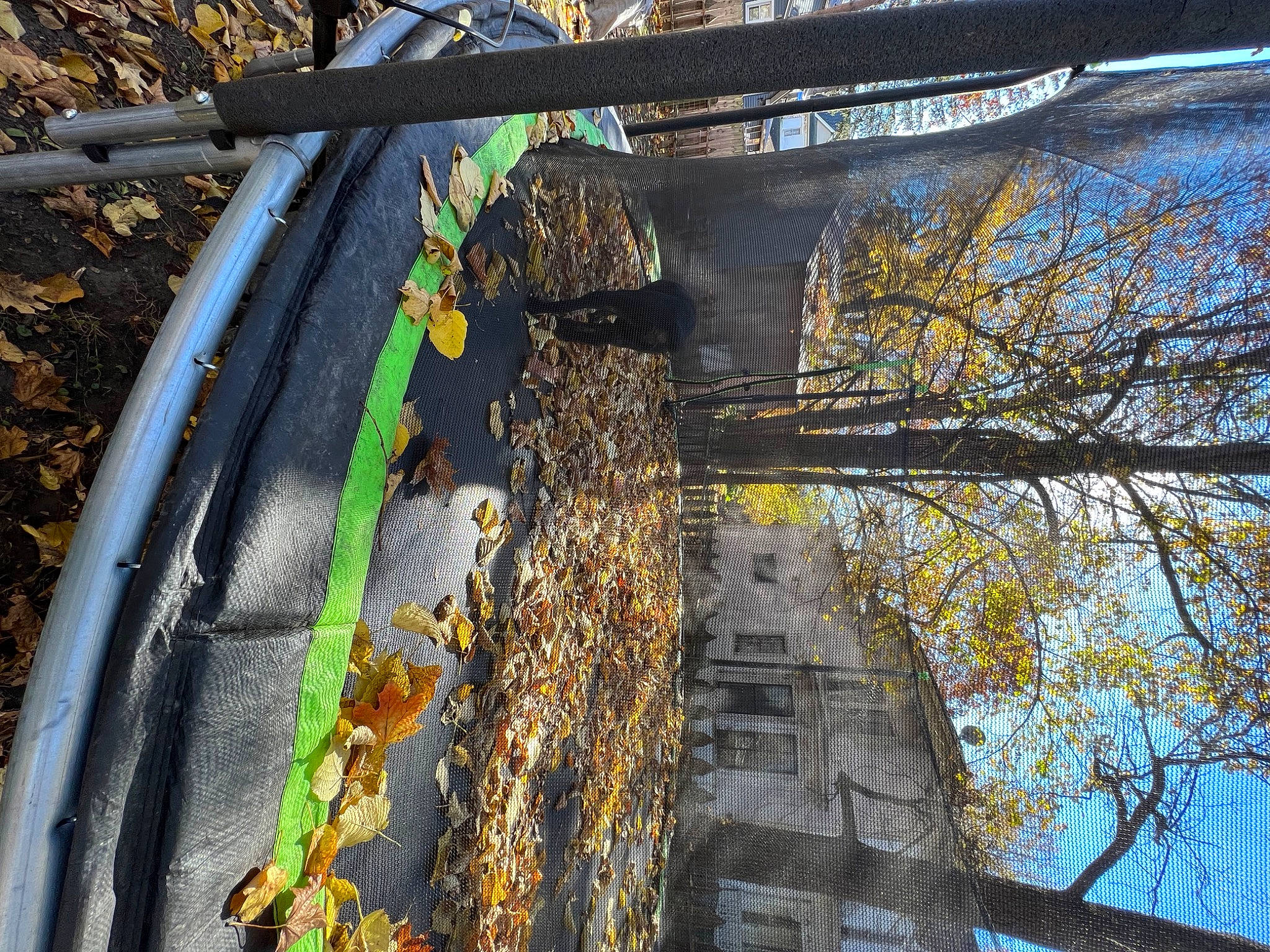 Abbey joined the competition — help win amazing prizes! automotive_tire, bicycle_tire, bicycle_wheel, biome, city, daytime, plant, reflection, road_surface, sky, spoke, sunlight, tints_and_shades, tire, tree, trunk, twig, vegetation, wheel, wood