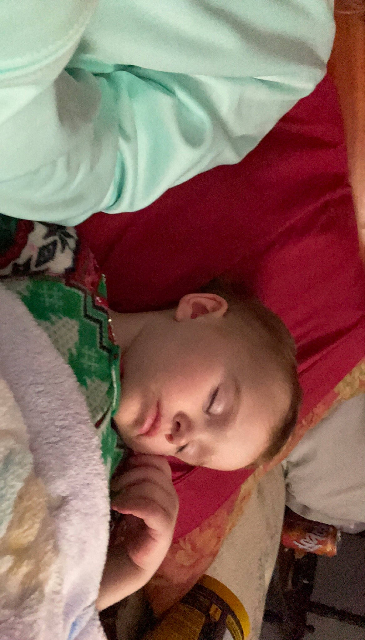 Emma-lee joined the competition — help win amazing prizes! baby, baby_products, bedtime, cheek, child, comfort, couch, flesh, fur, happy, linens, nap, nose, person, room, sitting, skin, sleep, textile, toddler