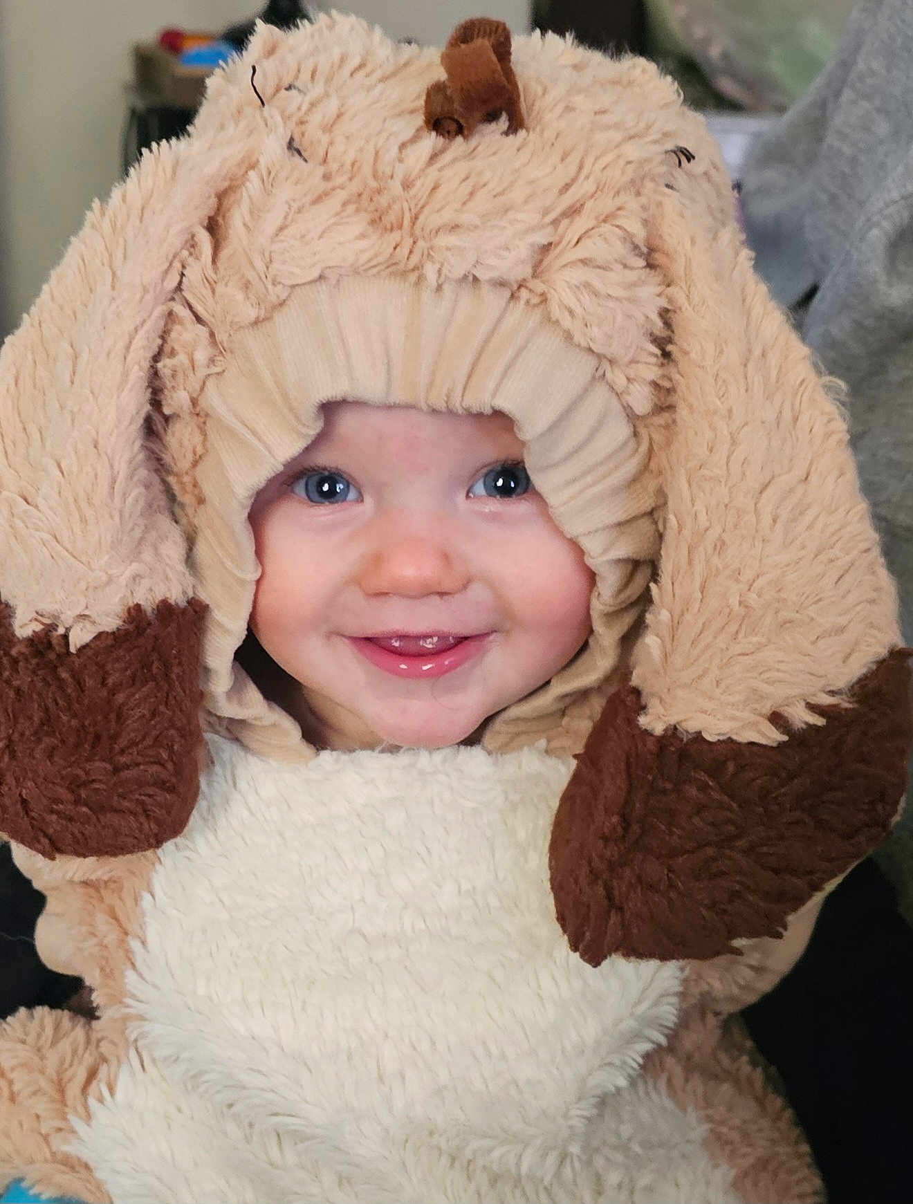 Essmae Lola-Rae joined the competition — help win amazing prizes! baby, child, costume, dog_costume, smiling, cute, fluffy, face, blue_eyes, infant, portrait, happy, indoors, warm, soft_texture, clothing, person, headwear, baby_fashion, adorable
