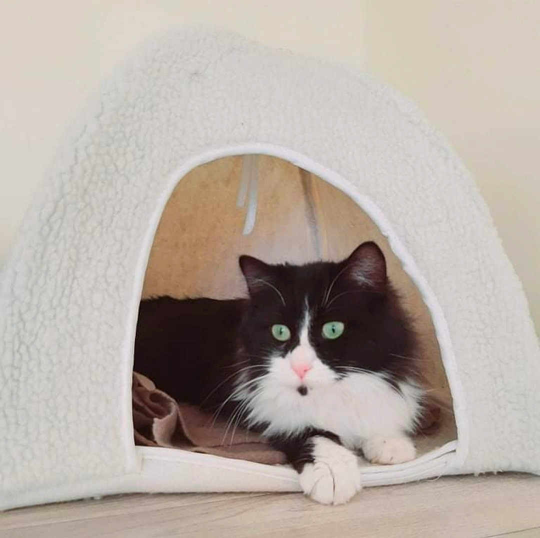 Lili