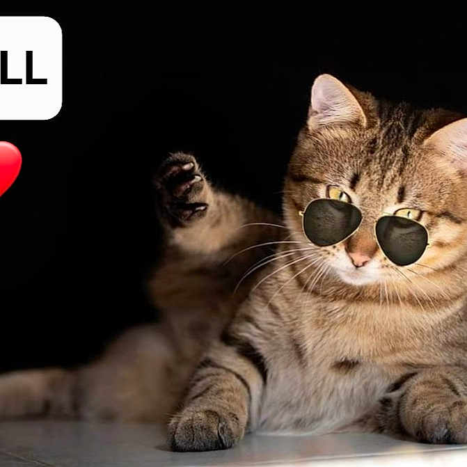 Jull