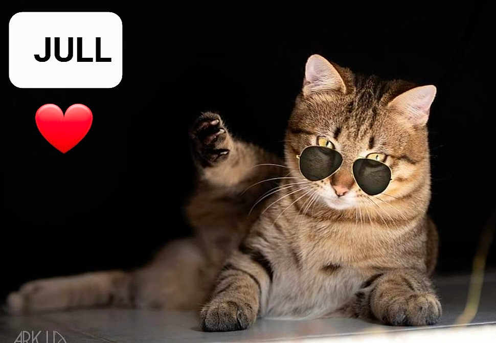 Jull