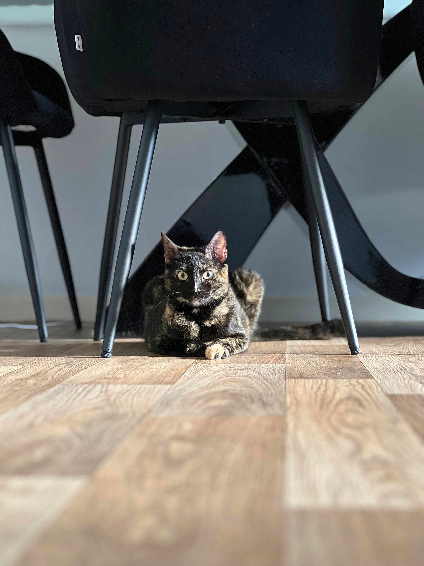 Mimi