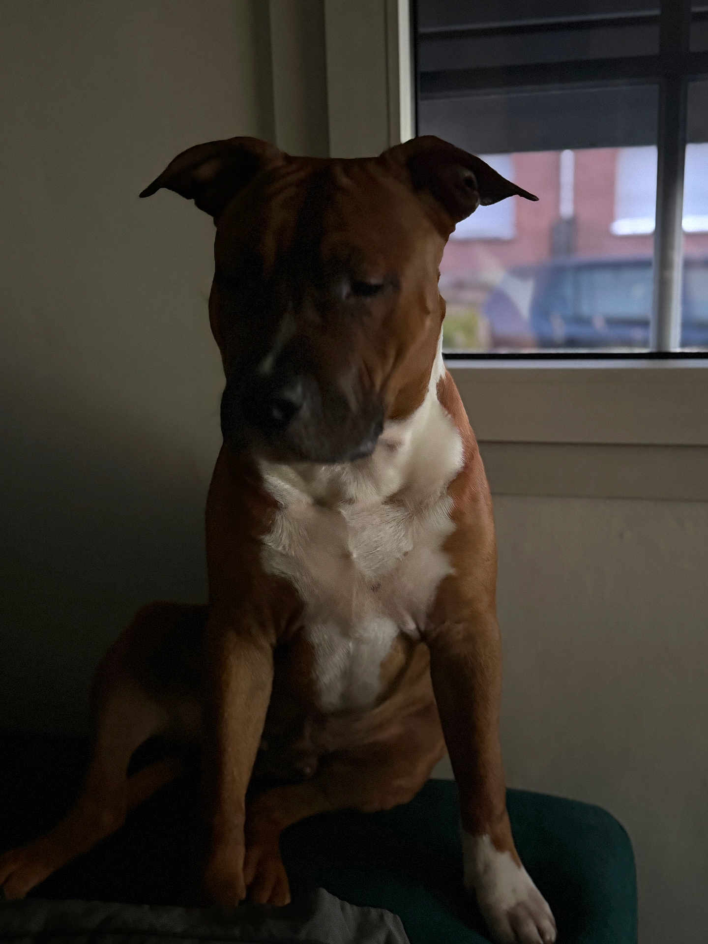 Aiko