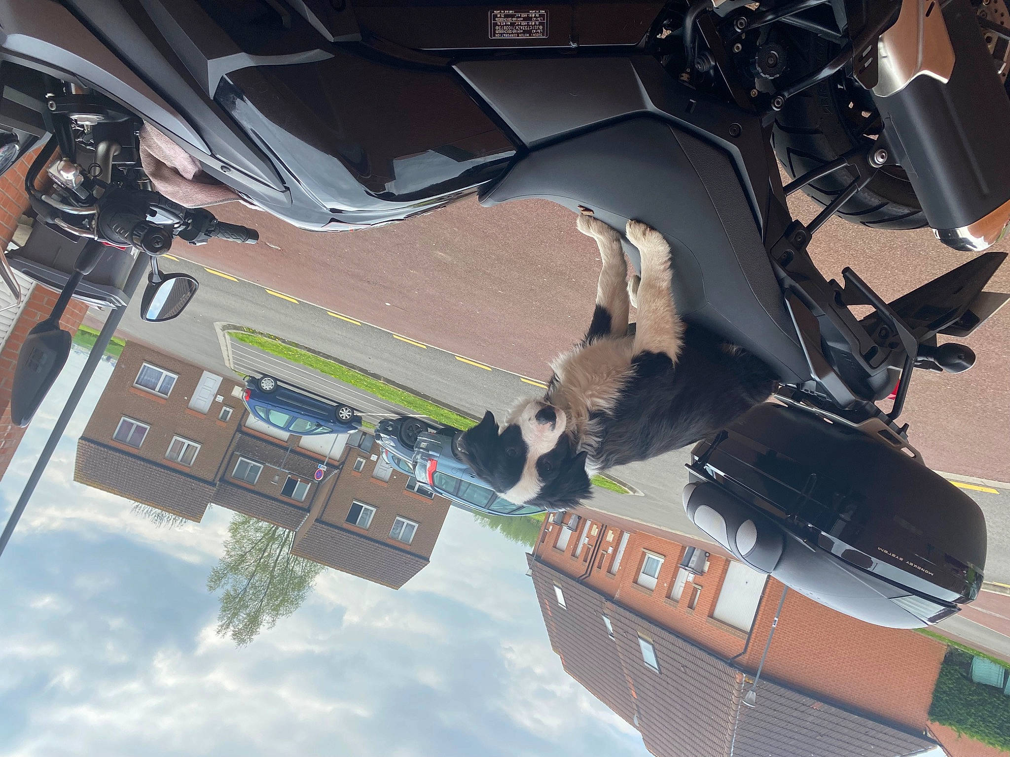 Tim participe au concours pour gagner de l'argent avec cette photo : auto_part, automotive_design, automotive_exterior, automotive_lighting, automotive_tire, building, bumper, cloud, fender, hood, landscape, motor_vehicle, personal_luxury_car, sky, space, tree, urban_design, vehicle, vehicle_door, windshield