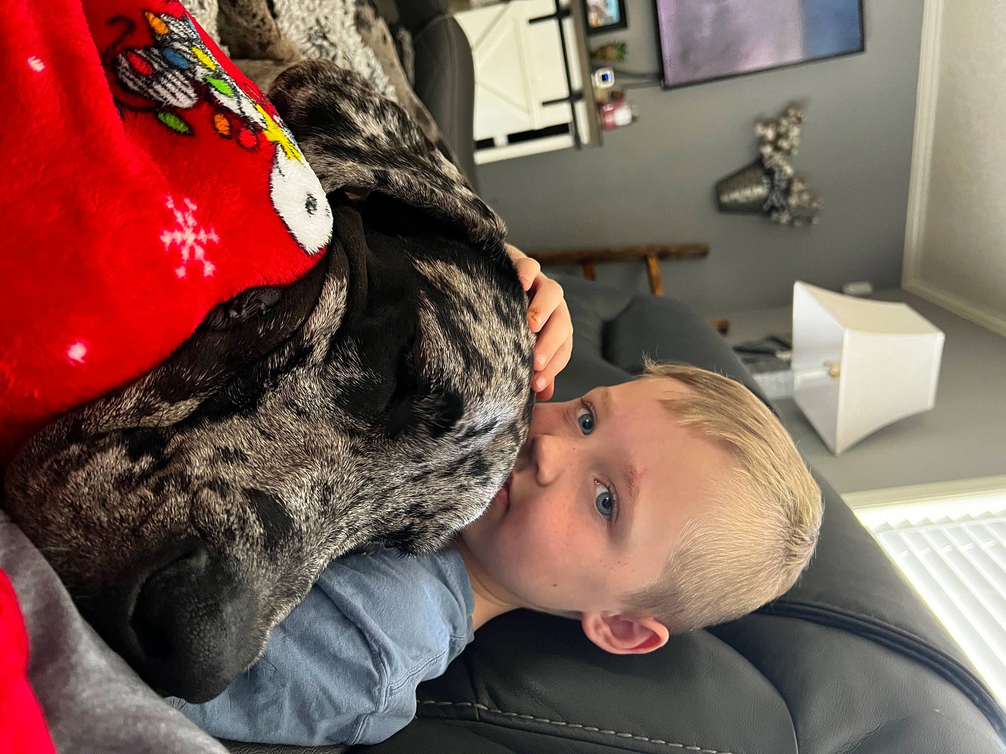 Brennan joined the competition — help win amazing prizes! black_hair, cap, carmine, carnivore, child, dog, dog_breed, ear, eyelash, fashion_accessory, fun, fur, happy, jaw, mouth, person, personal_protective_equipment, picture_frame, selfie, t_shirt