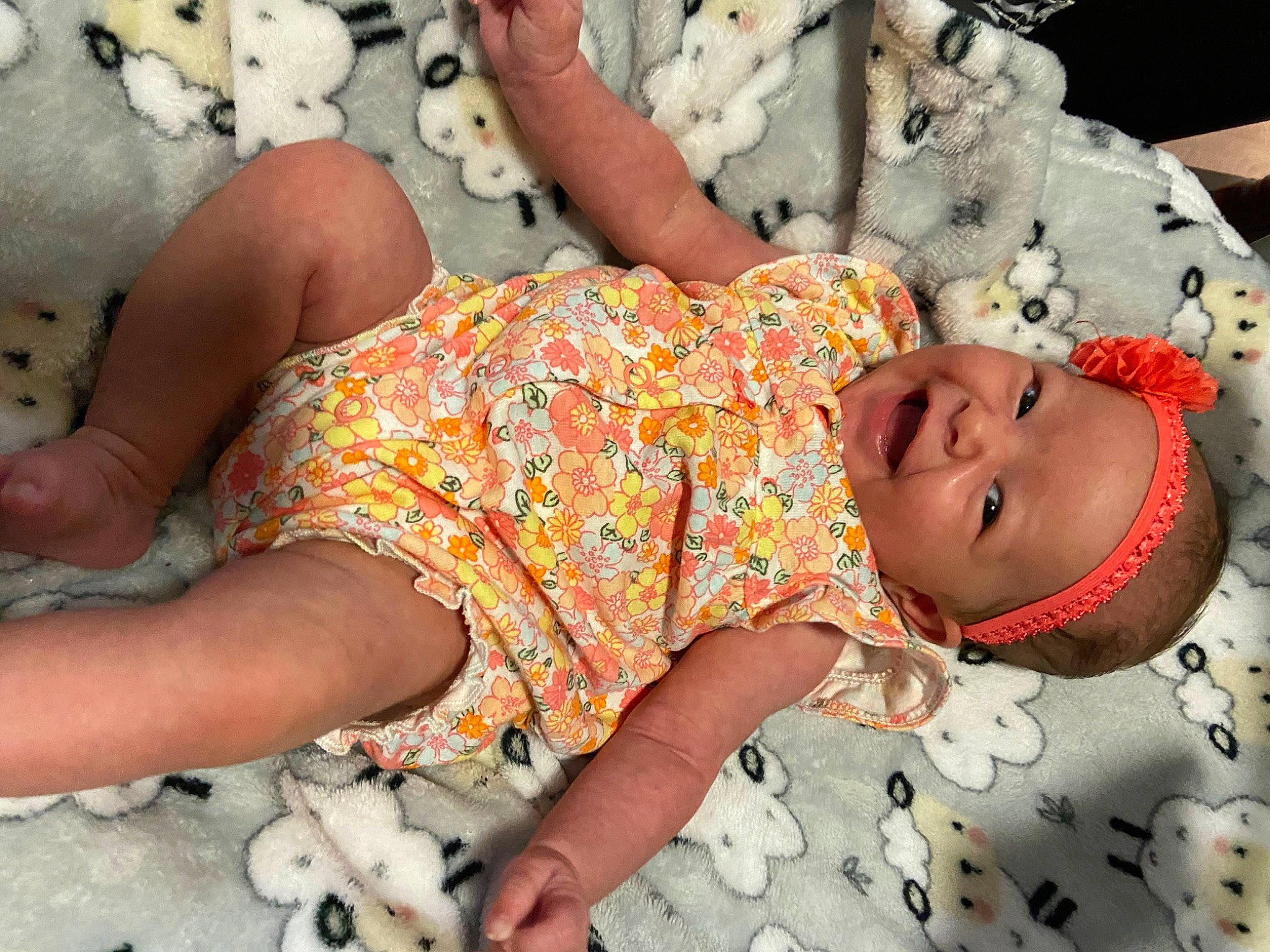 Addison is registered to the contest to win money with this photo: adaptation, arm, baby_toddler_clothing, comfort, finger, fun, hand, happy, head, headwear, human, human_body, leg, mouth, person, photograph, product, skin, summer, thigh