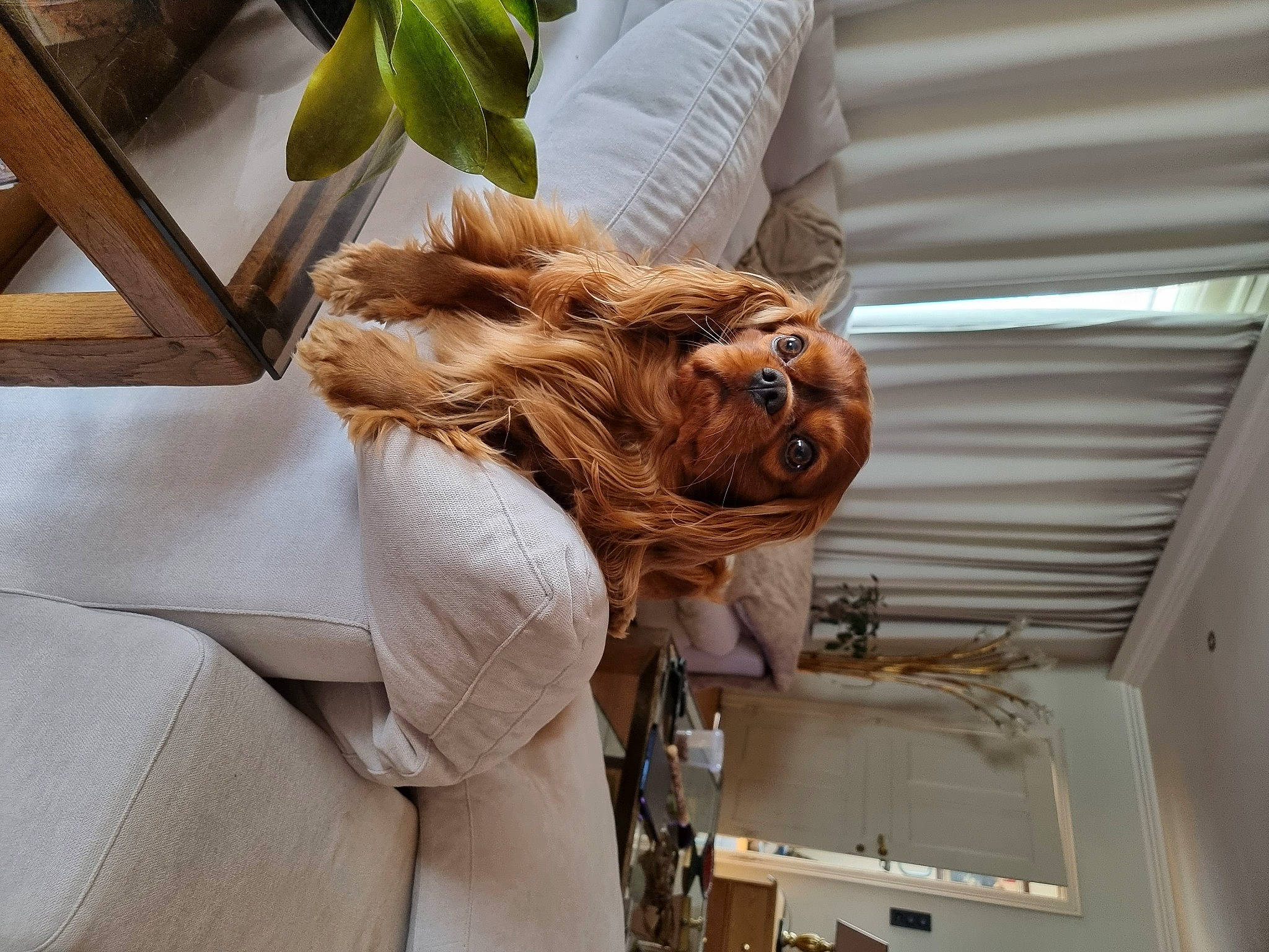 Tommy participe au concours pour gagner de l'argent avec cette photo : art, artifact, carving, ceiling, fashion_design, fawn, fur, gesture, peach, room, sleeve, suit, visual_arts, waist, wood