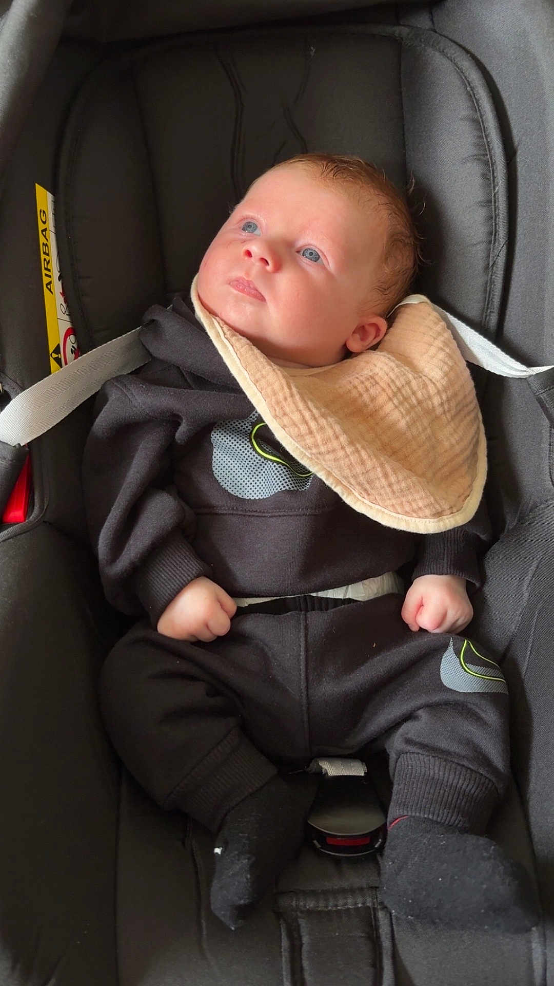 Timaë a rejoint le concours — aidez-le/la à gagner de superbes lots ! baby, infant, car_seat, bib, clothing, black_outfit, face, hands, blue_eyes, sock, seatbelt, child, portrait, indoor, cute, young, small_hands, soft_lighting, looking_up, comfortable