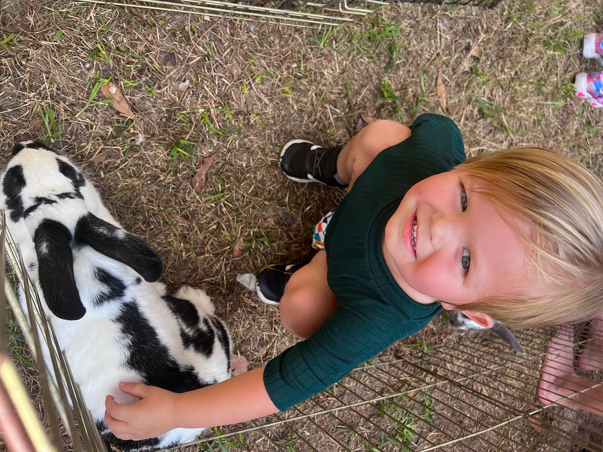 Rilan joined the competition — help win amazing prizes! child, companion_dog, dog_breed, fawn, fur, grass, grassland, happy, head, human_leg, joy, landscape, leisure, people_in_nature, person, plant, sitting, smile, snout, soil