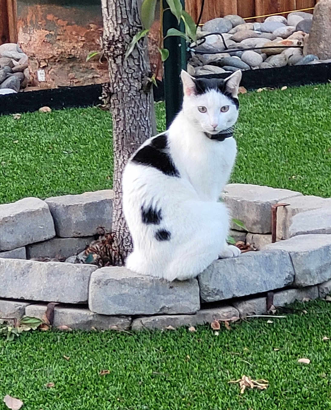 Smudge