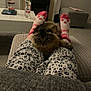cat, pajama_pants, pink_socks, legs, living_room, fireplace, coffee_table, candle, water_bottle, carpet, ottoman, cozy, furniture, indoor, pet, fluffy, patterned_clothing, relaxing, home, sitting