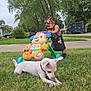 child, toddler, dog, grass, toy, walker, outdoor, suburban, tree, sidewalk, street, vehicle, greenery, puppy, curly_hair, play, summer, nature, pet, neighborhood