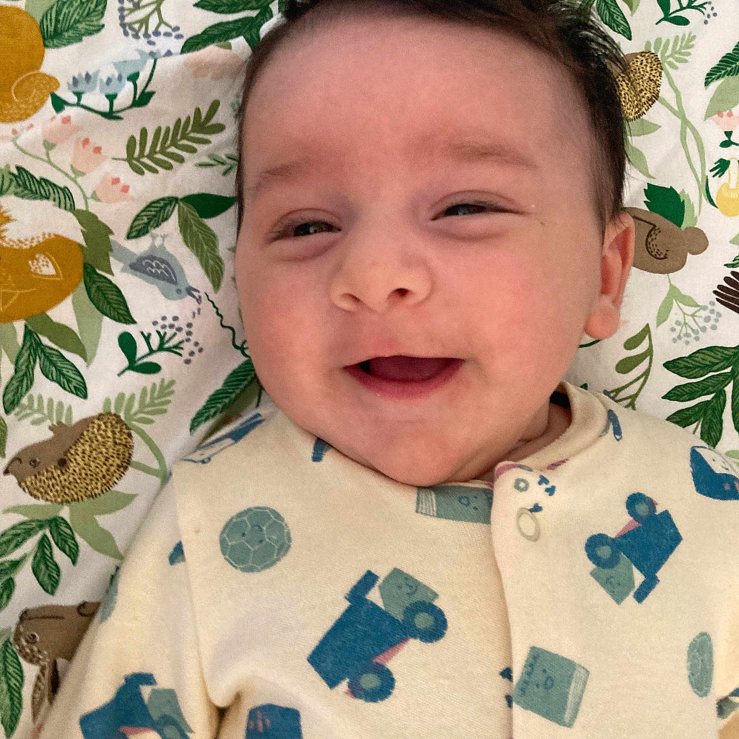 Stefan joined the competition — help win amazing prizes! applique, baby, babylaughing, clothing, cushion, face, furniture, hair, happy, head, homedecor, laughing, newborn, pattern, person, photography, portrait, quilt, sleeping, smile