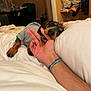 Cristiano participe au concours pour gagner de l'argent avec cette photo : dog, puppy, dachshund, bed, pillow, blanket, hand, paw, bite, chewing, bracelet, sleeve, indoor, bedroom, closet, clothes, cozy, pet, playful, sleepy